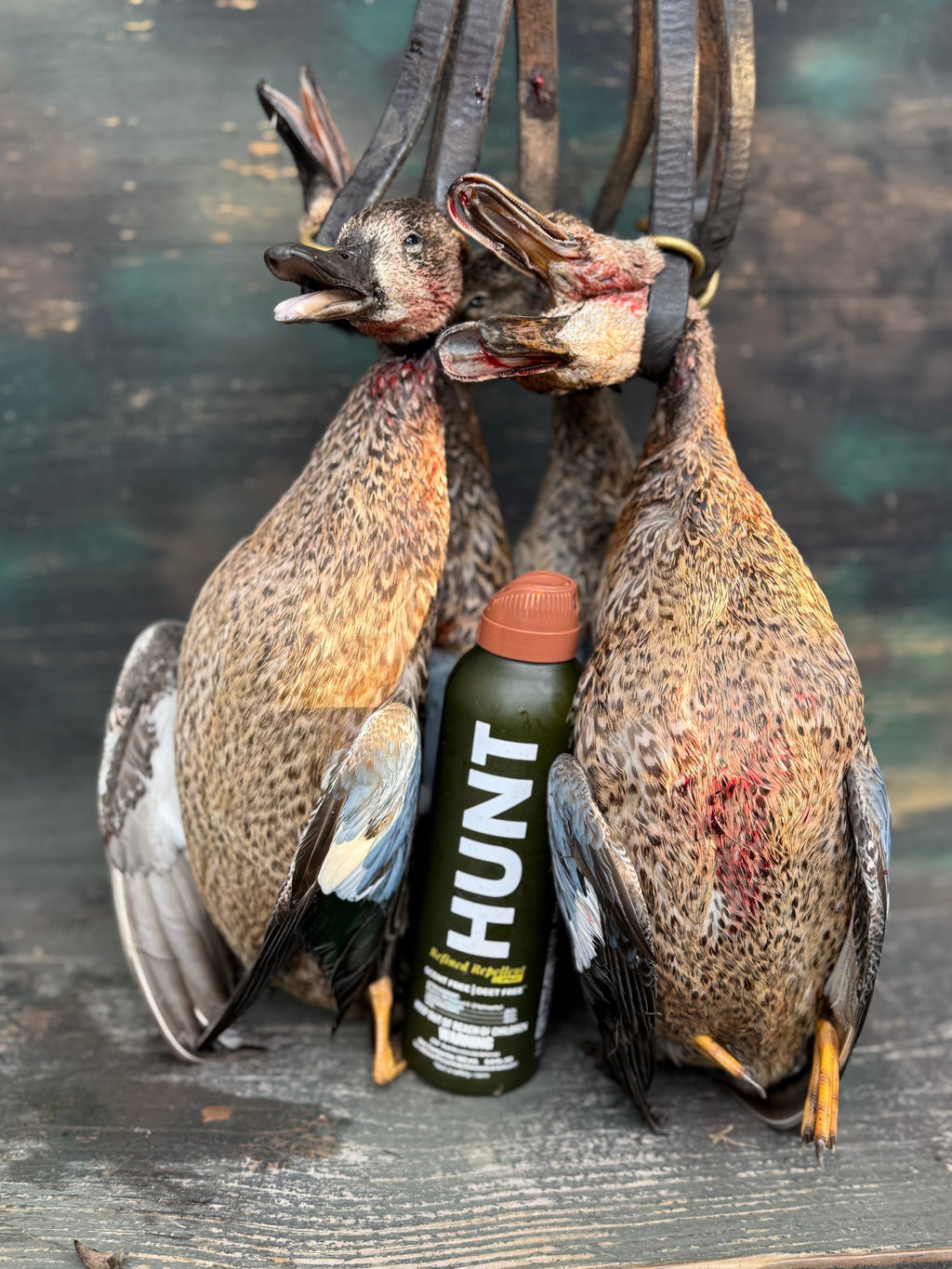A photo of a bundle of ducks with HUNT Refined Repellent Spray.