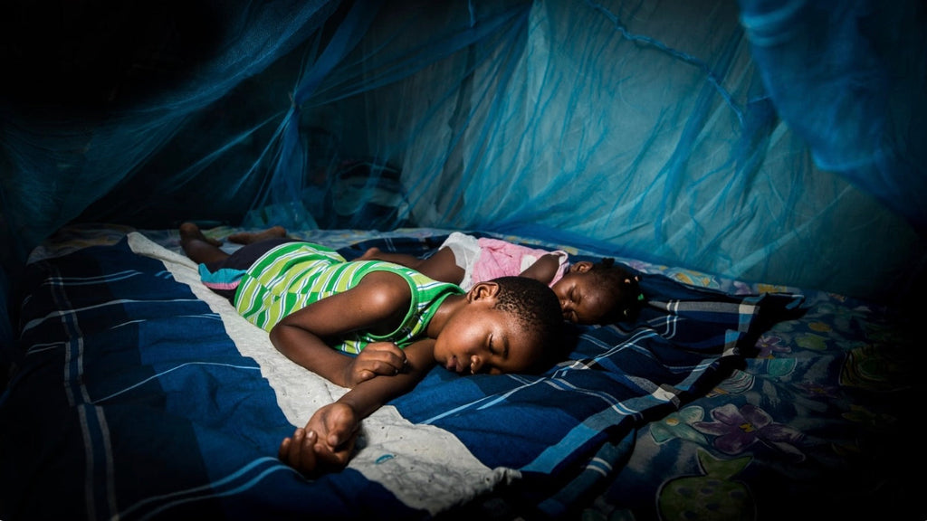 An image of two children sleeping under a mosquito net.