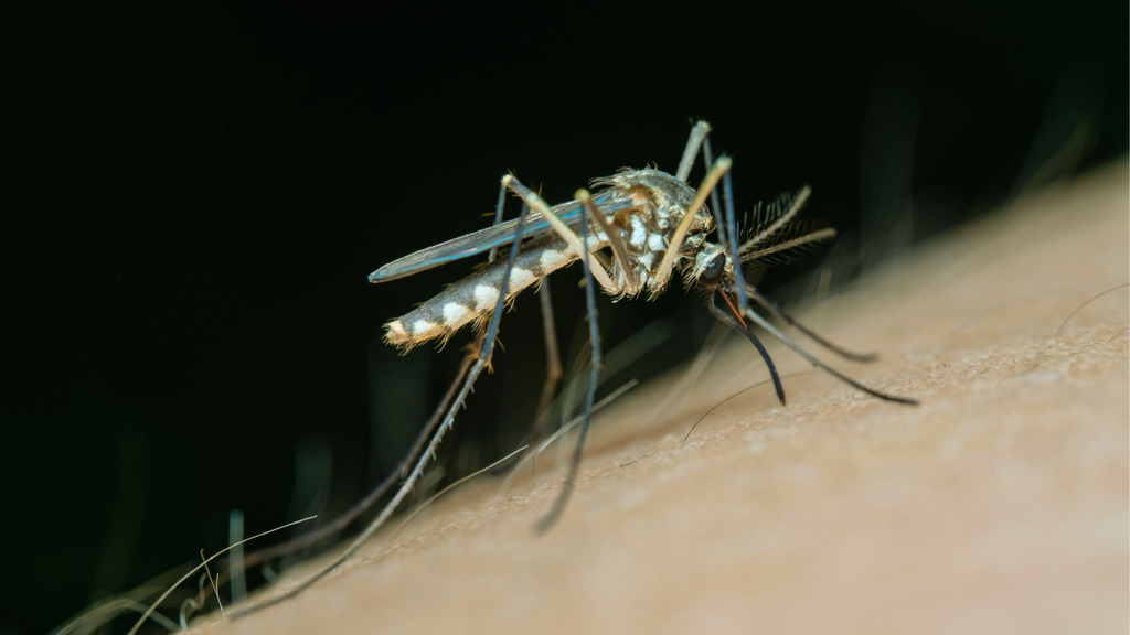 West Nile Virus 2026: Peak Season Is 6 Weeks Away — Are You Protected?