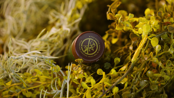 Bottle cap of Hunt Refined Repellent Lotion with a logo of a mosquito with a slash through it. Around it is the phrase "This bottle aided in the fight against malaria". The bottle lays on a bed of green foliage.